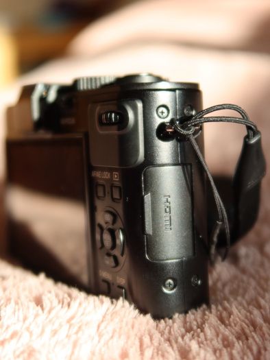 leica dlux 6
