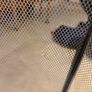 Babylo Playpen Image 4