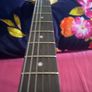 Aria stb pro II j bass and g4m guitar (FOR SWAPS) Image 7