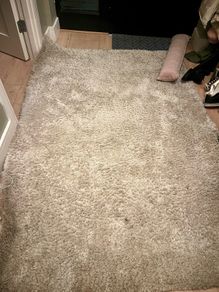 Shaggy rug - free to go