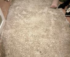Shaggy rug - free to go