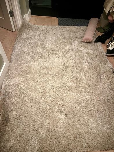 Shaggy rug - free to go
