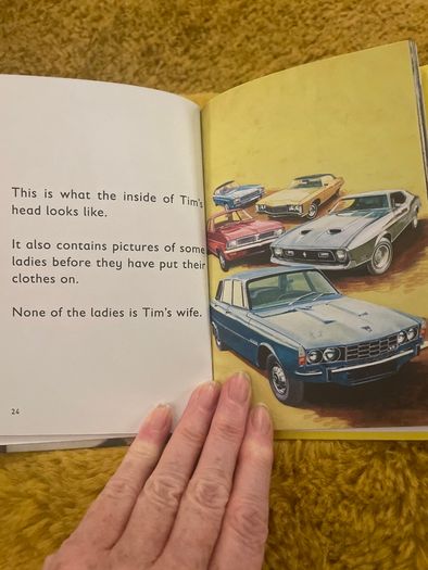 Adult Ladybird Books