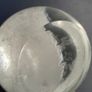 Caithness - c.1993 - Occasions Paperweight Image 4