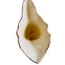 Belleek Cornucopia Vase Image 5