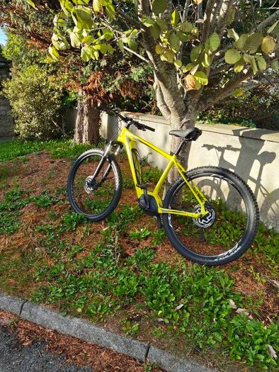 Electric bike