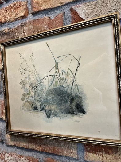 vintage picture