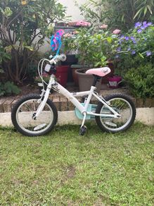 16 Inch Apollo Butterlies Bike