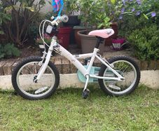 16 Inch Apollo Butterlies Bike
