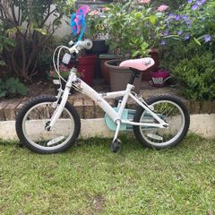 16 Inch Apollo Butterlies Bike