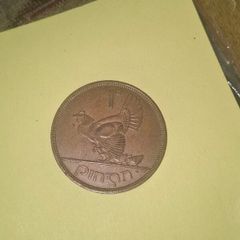 Irish coins