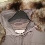 Karen Millen coat Image 2