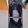 Buggy Image 2