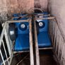 Automatic calf feeder Image 6