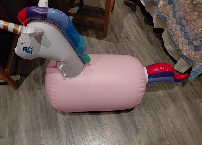 Bouncy horse
