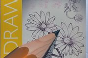 Draw 50 Flowers, Trees And Other Plants