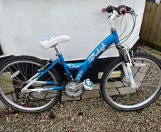 Raleigh Bicycle 24"