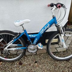 Raleigh Bicycle 24"