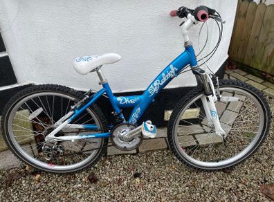 Raleigh Bicycle 24"