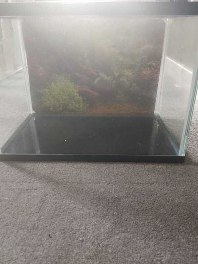 Fish tank with accessories