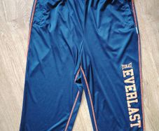 Everlast Shorts   Size M