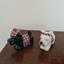 westie dogs Image 2
