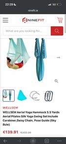 Wellsem yoga swing and wall hangings