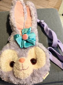 Hong Kong Disneyland crossbody bag