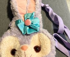 Hong Kong Disneyland crossbody bag