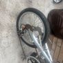 Bike Image 2