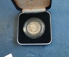 Dublin Millennium  Proof Coin