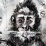 Cryptowise Primates, Hodl, Halve, Hope Image 5