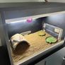 Vivarium Image 3