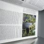 Handbook of the Birds of the World Vol 14 del Hoyo HC Lynx Edicions Ornithology Image 8