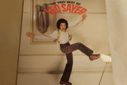 Leo Sayer - The Very Best Of - Vinyl Record + Hundreds More