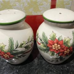 Winter Wonderland Salt & Pepper Set