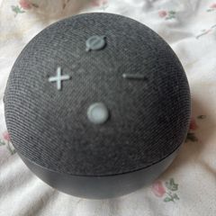 alexa bluetooth