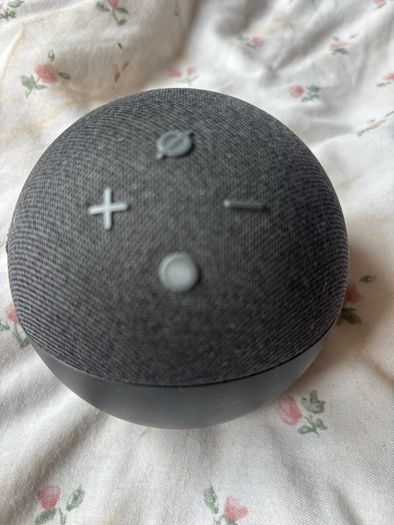 alexa bluetooth