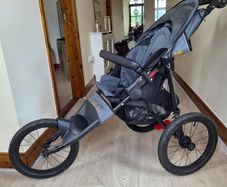 Out n about Nipper Sport V4