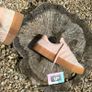 Premium Adidas Samba Wedge Pink Gum Image 3