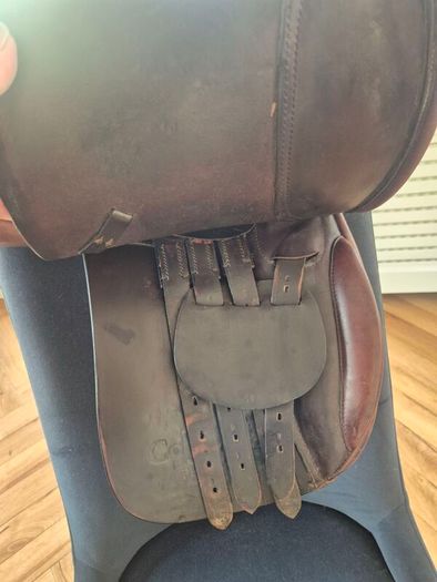 Pony Saddle 16" - Collegiate
