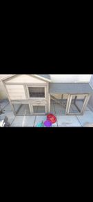 Rabbit Hutch