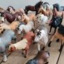 toy horses Image 8