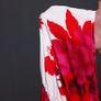 BNWT Stunning Midi Dress size 20 Image 4