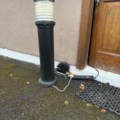 Bollard/ Driveway/Pathway light