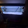 Fish tank (need gome ASAP) Image 3