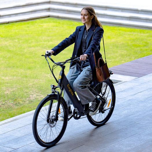 Eleglide T2 Electric Bike