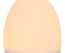 Tommee Tippee gro egg