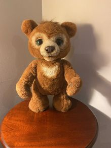 Teddy Bear Cubby the Curious bear