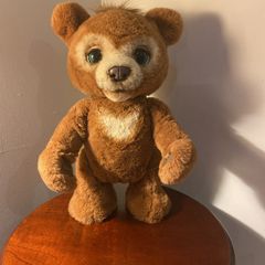Teddy Bear Cubby the Curious bear